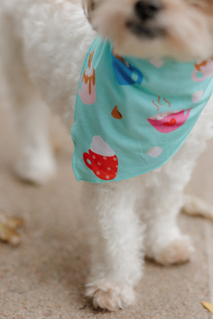 Cuppa Cozy Dog Bandana