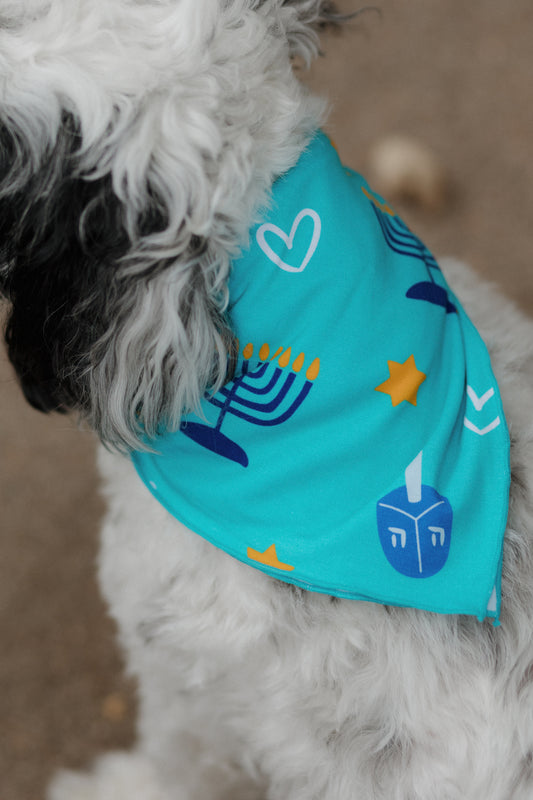 Shine Bright Blue Dog Bandana