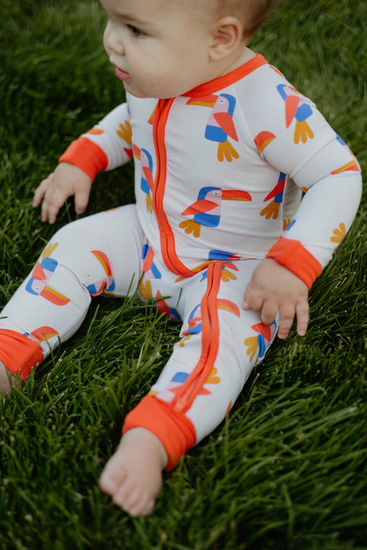 Toucan Zippy